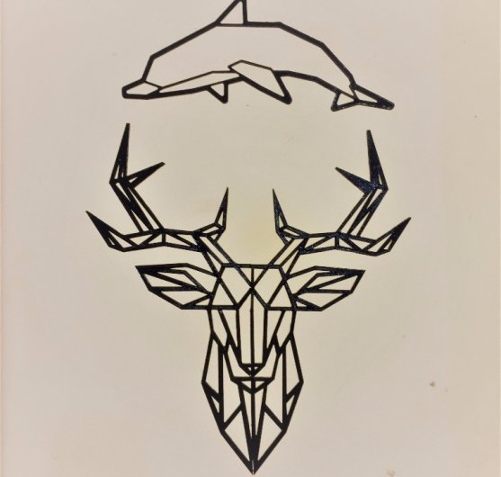 deer