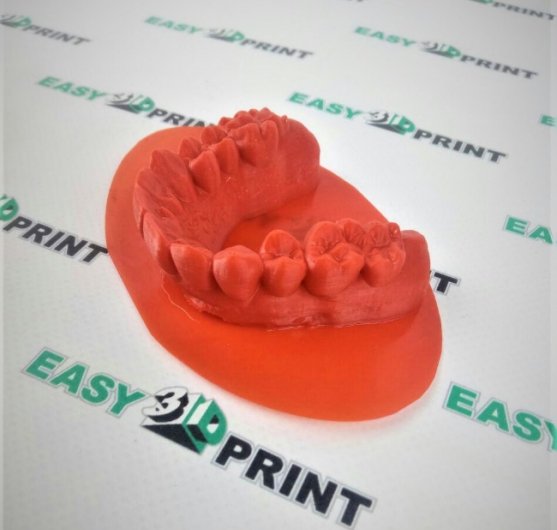 photo_2018-12-26_15-10-23-zb