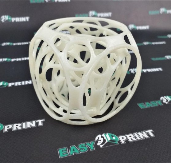 photo_2019-01-11_10-48-03ppa