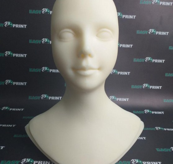 photo_2019-02-19_12-29-05