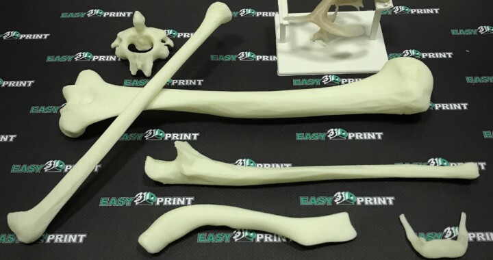 Пример работы - кости