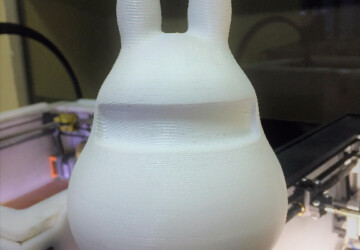 rabbit